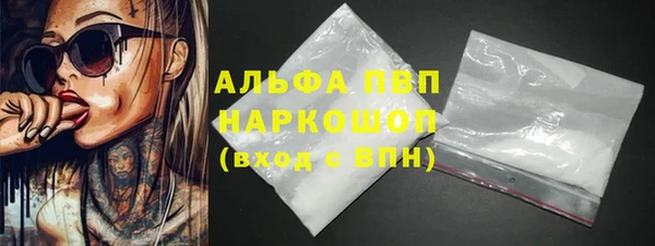 стаф Абинск
