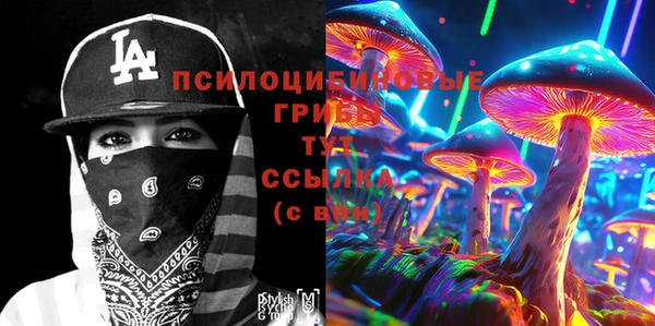 стаф Абинск